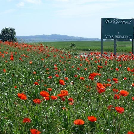 Bakkelund Bed & Breakfast Borre エクステリア 写真